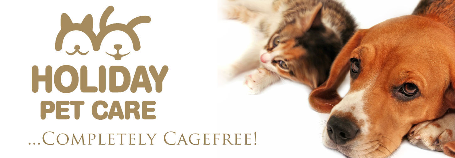 Holiday Pet Care Dog & Cat Logo... offering dog daycare, cagefree doggie boarding / dog hotel, (not a kennel) dog walking, pet / cat sitting,  in  Thornhill, Richmond Hill, Toronto, Ontario, Canada